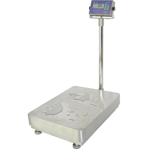 Весы товарные СКЕЙЛ СКЕ-H-300-6080